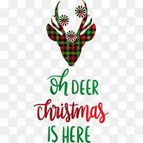 ʥ����-������