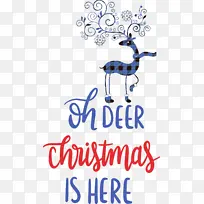 ʥ����-������