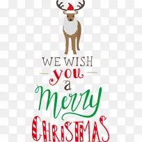 ʥ������ ����ף��ʥ������ ѱ¹-������