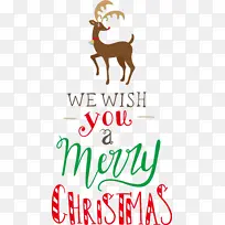 ʥ������ ����ף��ʥ������ ѱ¹-������