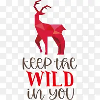 赞助商 几何 数学-空若网 赞助商 几何 数学-空若网