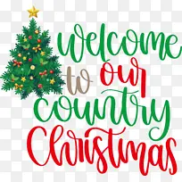 ��ӭʥ���� ʥ���� ʥ����-������