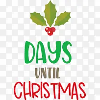 ��ʥ���ڻ��м��� ʥ����-������