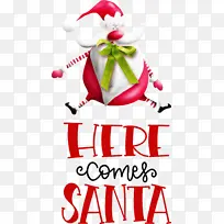 ʥ���������� ʥ������-������