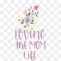 ĸ�׽� ˮ�ʻ� ����-������