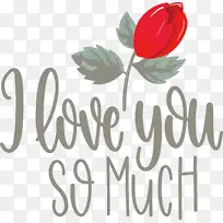 �ҷǳ����� ���˽� ��-������