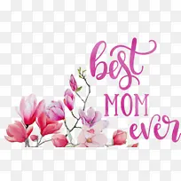 ĸÇ×½Ú ÓÐÊ·ÒÔÀ´×îºÃµÄÂèÂè Ë®²Ê»-¿ÕÈôÍø ĸÇ×½Ú ÓÐÊ·ÒÔÀ´×îºÃµÄÂèÂè Ë®²Ê»-¿ÕÈôÍø