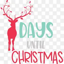 ��ʥ���ڻ��м��� ʥ����-������