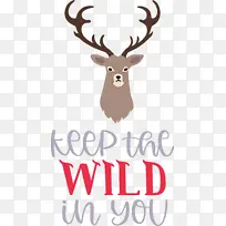 Ұ�� ¹ ѱ¹-������