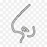 健身和健康图标 鼻子图标 爬行动物-空若网 健身和健康图标 鼻子图标 爬行动物-空若网