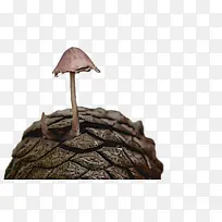 树-空若网 树-空若网