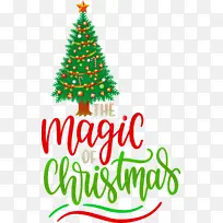 ÉñÆæÊ¥µ® Ê¥µ®Ê÷ Ê¥µ®½Ú-¿ÕÈôÍø ÉñÆæÊ¥µ® Ê¥µ®Ê÷ Ê¥µ®½Ú-¿ÕÈôÍø