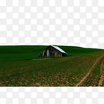 �� ũ����� �Ȳ�-������