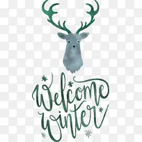 »¶Ó¶¬Ìì Ë®²Ê» ËØÃè-¿ÕÈôÍø »¶Ó¶¬Ìì Ë®²Ê» ËØÃè-¿ÕÈôÍø