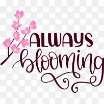 ����-������