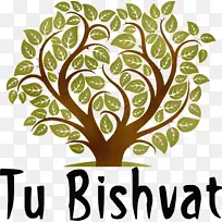 ��̫�� ˮ�ʻ� ����-������