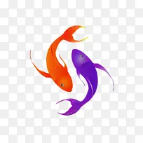 ���� ��ѧ ����ѧ-������