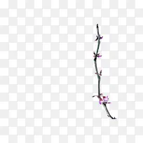 细枝 线条 薰衣草-空若网 细枝 线条 薰衣草-空若网