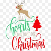 Ê¥µ®½Ú-¿ÕÈôÍø Ê¥µ®½Ú-¿ÕÈôÍø