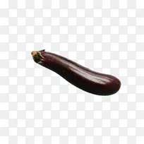 科学 生物学-空若网 科学 生物学-空若网