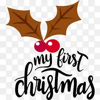 我的第一个圣诞节 生物学 科学-空若网 我的第一个圣诞节 生物学 科学-空若网