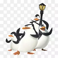 企鹅不会飞鸟奥林巴斯鸟嘴相机镜头-马达加斯加企鹅-空若网 企鹅不会飞鸟奥林巴斯鸟嘴相机镜头-马达加斯加企鹅-空若网