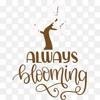 ����-������