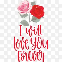 ��Զ���� ���˽� �������-������