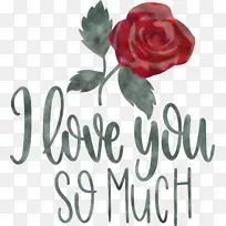 我非常爱你 情人节 爱-空若网 我非常爱你 情人节 爱-空若网