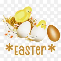 ����� ����ڿ��� ����-������