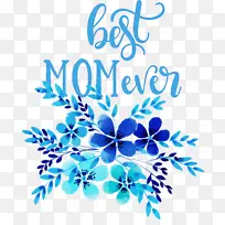 ĸ�׽� ��ʷ������õ�ĸ�� ˮ�ʻ�-������