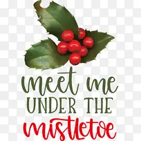 �μ��� ���� ����ʳƷ-������