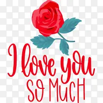 ��̫������ ���˽� ����-������