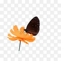 ºûµû À¥³æ ë½Åºûµû-¿ÕÈôÍø ºûµû À¥³æ ë½Åºûµû-¿ÕÈôÍø