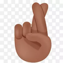 ��ָ����-�ֲ��������-������