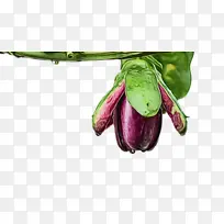 水彩画 颜料 湿墨-空若网 水彩画 颜料 湿墨-空若网