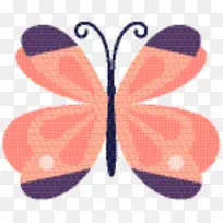 ���� ��ɫ ����-������