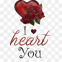 �Ұ��� ���˽� ��-������