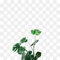 水彩画 颜料 湿墨-空若网 水彩画 颜料 湿墨-空若网