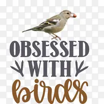 �� ȸ �-������