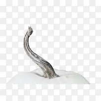 ���� ֲ�� ����ѧ-������