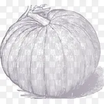 蔬菜线-空若网 蔬菜线-空若网