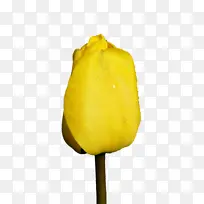 �� ������ ����-������