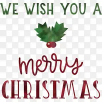 ʥ������ ף��ʥ������ Ҷ��-������