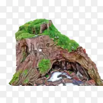 ֲ�� ��ľ ��ѧ-������