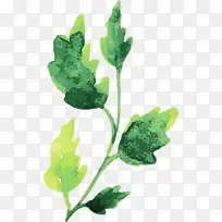 水彩画秋天 水彩画秋天的叶子 水彩画叶子-空若网 水彩画秋天 水彩画秋天的叶子 水彩画叶子-空若网