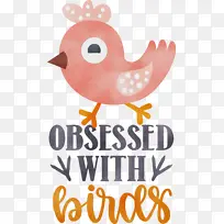 �� ˮ�ʻ� ����-������