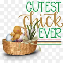 ����ڿ��� ��Ʒ�� �Ǳ�-������