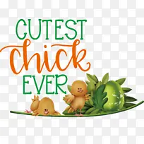 ����ڿ��� ��ɫ ��-������