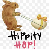 ����ڿ�����Ƥ�貽��β��-������